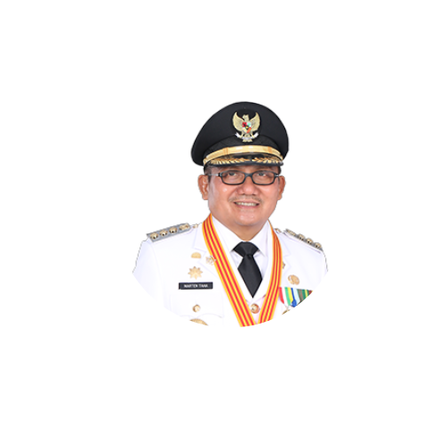 goverment-profile